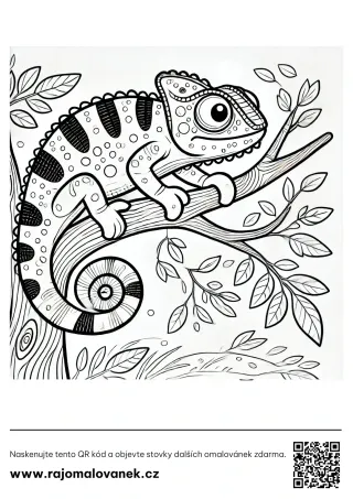 Chameleóny – omaľovánka 7 Čiernobiela omaľovánka s motívom chameleóny, obrázok 7, pripravená na vytlačenie