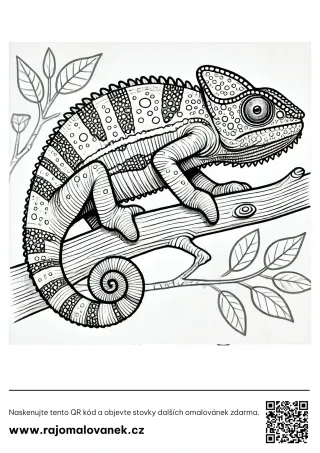 Chameleóny – omaľovánka 9 Čiernobiela omaľovánka s motívom chameleóny, obrázok 9, pripravená na vytlačenie